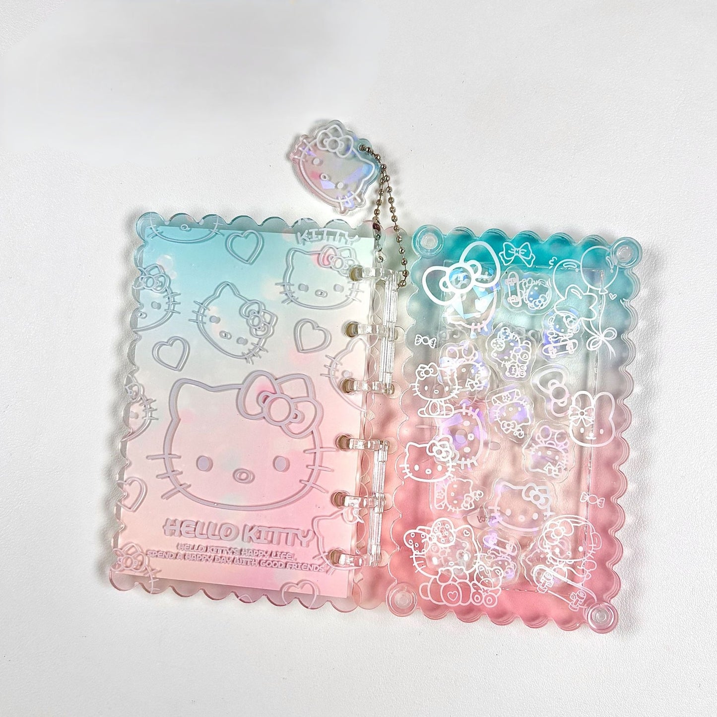 Acrylic shaking book A13